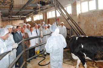 Kurban kesim kursuna katılan kursiyerler sertifikalarını aldı