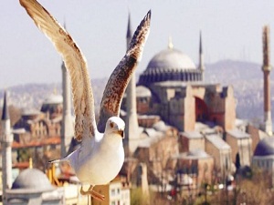 Tarihi yarımadaya özel yasa önerisi