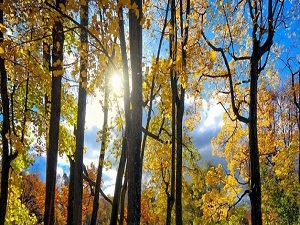 Hava sıcaklığı mevsim normallerinin üzerinde