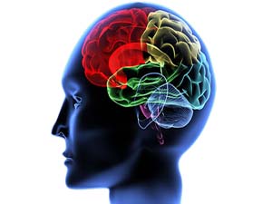 İnsan beyninin inanılmaz kapasitesi!