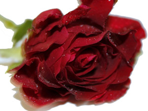 Son nefesini vermedikçe Allah, tövbeyi kabul eder