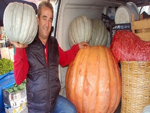 150 kiloluk kabak görenleri hayrete düşürdü