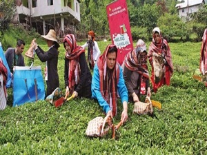 Organiği 10 milyon avroya demlenecek