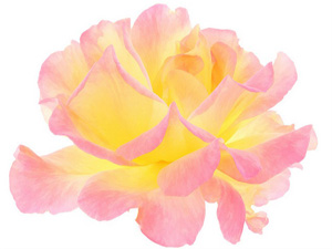 Zilhiccenin ilk on gecesinde yapılan amelin sevabı büyük