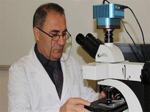 Kanserin yüzde yüz ilacını bulduk