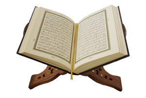 Bu apaçık bir iftirâdır demeleri gerekmez miydi?