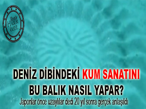 Deniz dibindeki kum sanatını bu balık nasıl yapar?