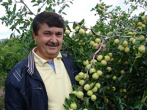 Bu meyvedeki C vitamini elmadan 100, limondan 20 kat fazla