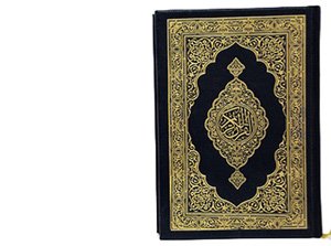 Çirkin şeylerin yayılmasını arzû edenlere elemli bir azab vardır