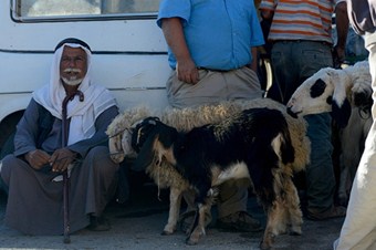 Kudüs kurbana hasret