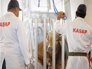 Kurban atığını toprağa verenlere ceza kesilecek