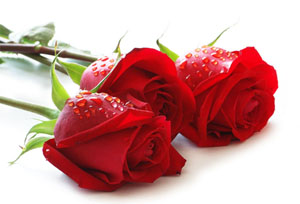 Duaların en hayırlısı Arefe gününde yapılandır