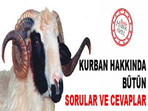 Kurban hakkında bütün sorular ve cevaplar