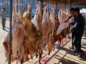 Ateş hattı'nda kurban yardımı