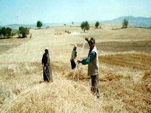 Bakan Mehdi Eker'den çiftçilere müjde