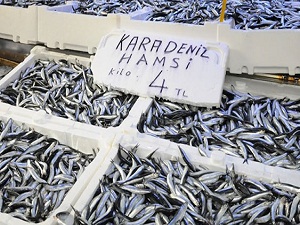 Kurban Bayramı balık fiyatlarını düşürdü