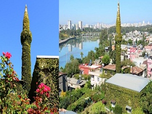 Botanik bahçesi gibi cami görenleri şaşırtıyor
