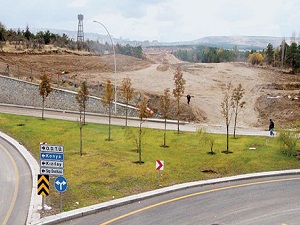 ODTÜ’de yeni yol için ağaç sökümü tamamlandı