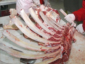 Kurbanın kemiğini atmayın, iliğinde şifa var