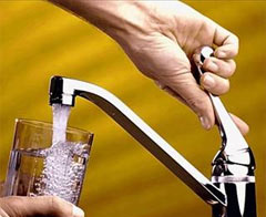 Böbrek sağlığı için bol su için