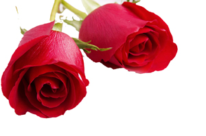 Bunları kabul eden, imanın tadını almıştır