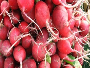 O hastalığın çaresi turp