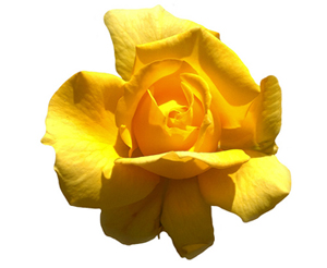 Allah'ın rahmet esintilerine yönelin