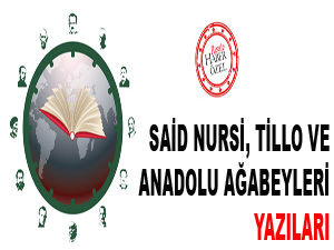 Said Nursi, Tillo ve Anadolu ağabeyleri yazıları