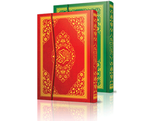 Allah, hareketli olan her canlıyı sudan yaratmıştır