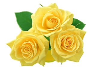 Ölülerinizin iyiliklerini zikredin, kötülüklerini zikretmeyin