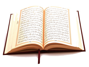 İşte bunlar, mü’min kimseler değildirler