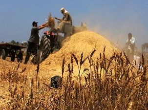 Venezuela'da hükümet alarmda