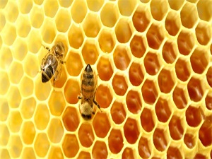 Öksürüğün ilacı ballı kahve