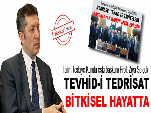 Tevhid-i Tedrisat bitkisel hayatta