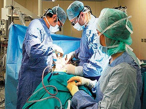 Bir yılda sadece 24 Yunan doktor geldi