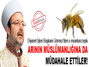 Arının Müslümanlığına da müdahale ettiler!