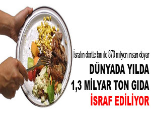 Dünyada yılda 1,3 milyar ton gıda israf ediliyor
