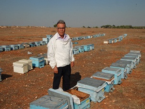 Arısına güvenen bu yarışmaya katılsın