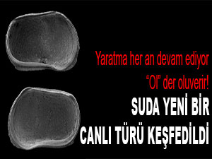 Suda yeni bir canlı türü keşfedildi