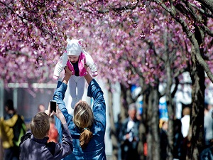 İskandinavya'ya kış gelmedi