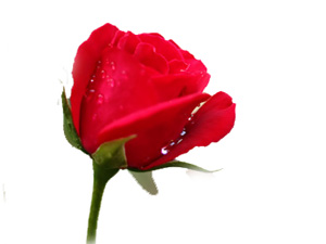 Mü'minin ferasetinden sakınınız