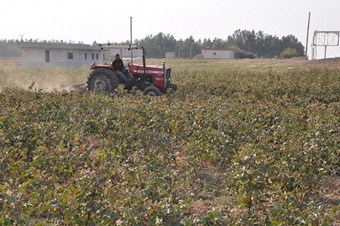 Çözüm sürecinden GAP'a imaj katkısı