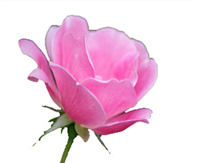 Emirlerinizin en hayırlıları ve en şerirlerini haber vereyim mi?