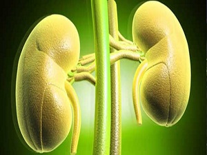 Bu hastalık çocukların böbreğini iflas ettiriyor