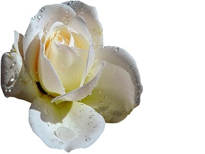 Az konuşmaya bakın, şeytan uçuruma fırlatmasın