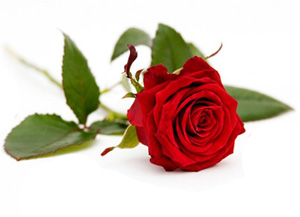 Sarık sarmanızı tavsiye ederim, ucunu da sırtınıza doğru sarkıtın