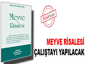 Meyve Risalesi Çalıştayı yapılacak