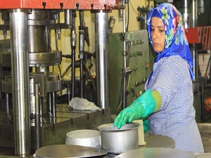 'Çalışan kadın çocuklarını ve eşini ihmal ediyor'