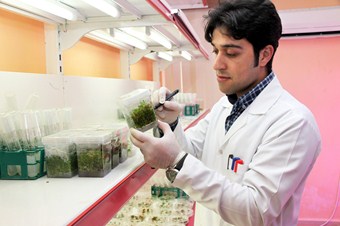 KMÜ’lü araştırma görevlisine TÜBİTAK’tan 100 bin TL hibe