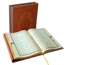 Kıyâmeti yalanlayanlara alevli bir ateş hazırladık!